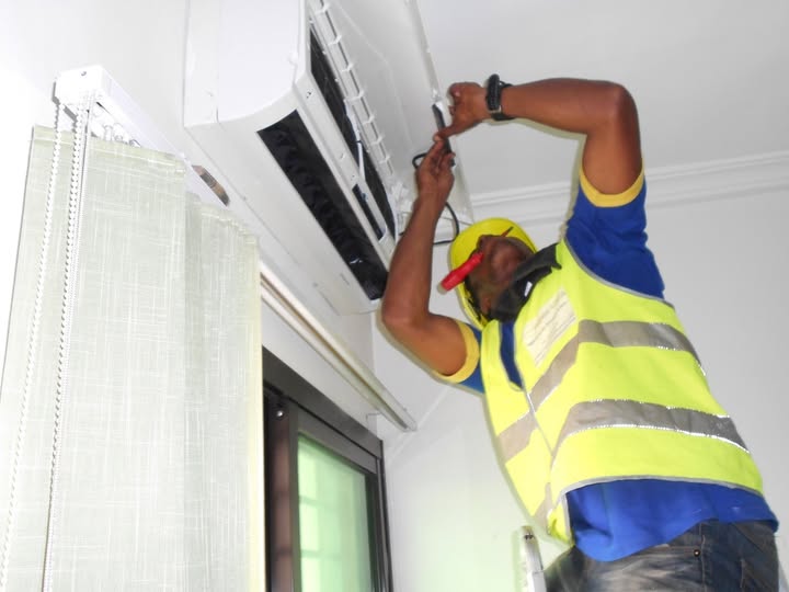 62036375_624533654703484_4267688545658863616_n